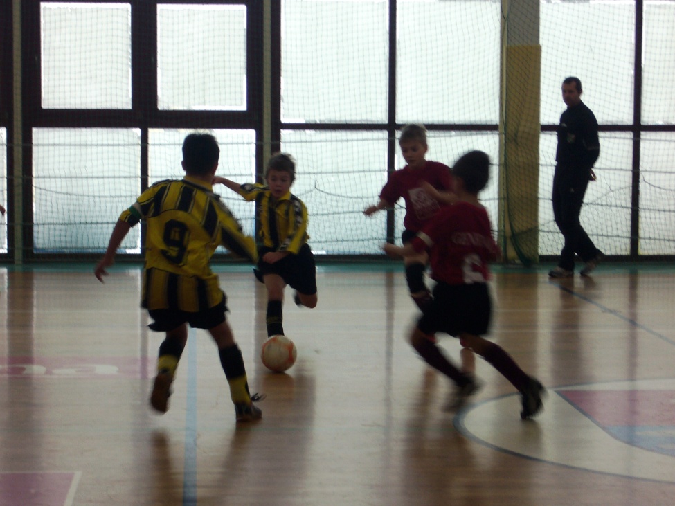P1050944.jpg